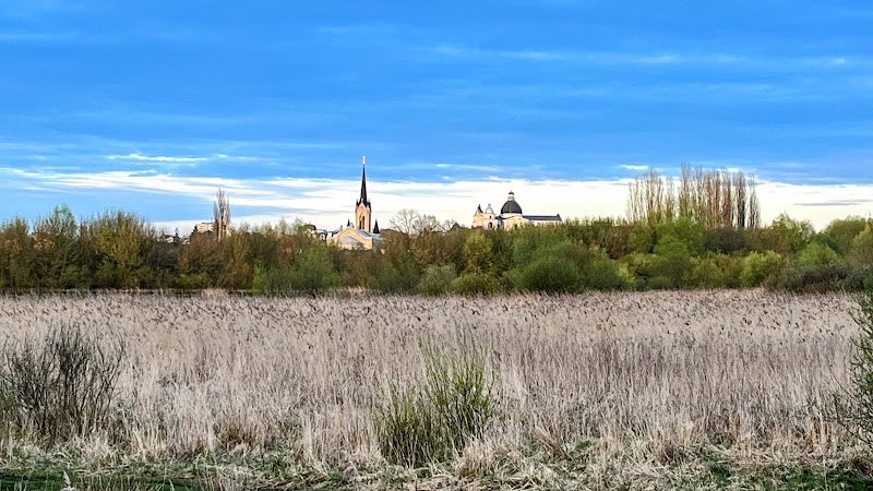 Заказник «Гнідавське болото»