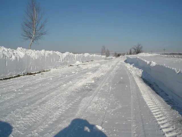 На Волині ліквідовують наслідки снігопаду — фото 2