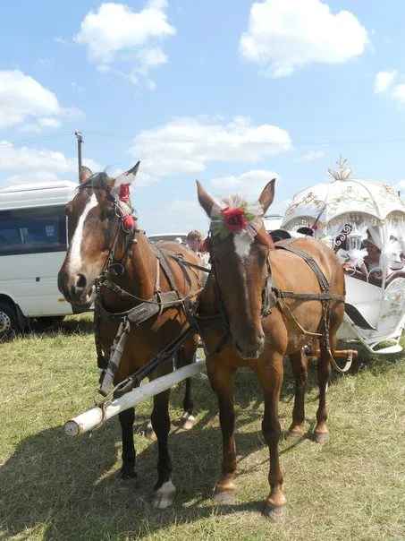 У пам'ять загиблих за свободу і незалежність нашої Вітчизни у Луцьку відбудеться мотопробіг (Фото) — фото 3