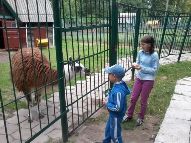 У Луцькому зоопарку - екскурсія для особливих діток — фото 1
