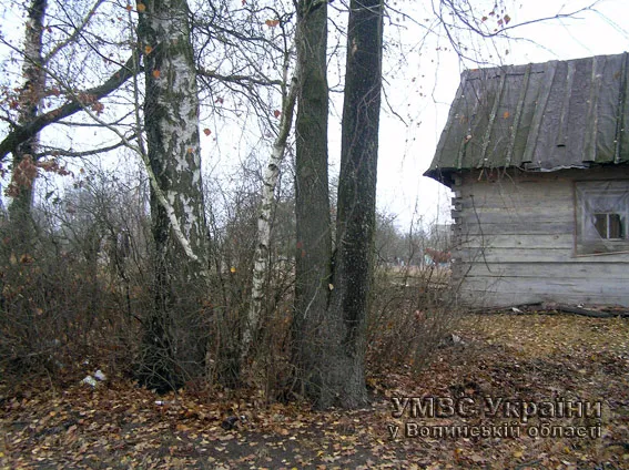 На Волині десятикласник вбив пенсіонерку — фото 2