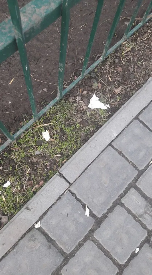 В Луцком зоопарке едва не убили самку альпаки — фото 1